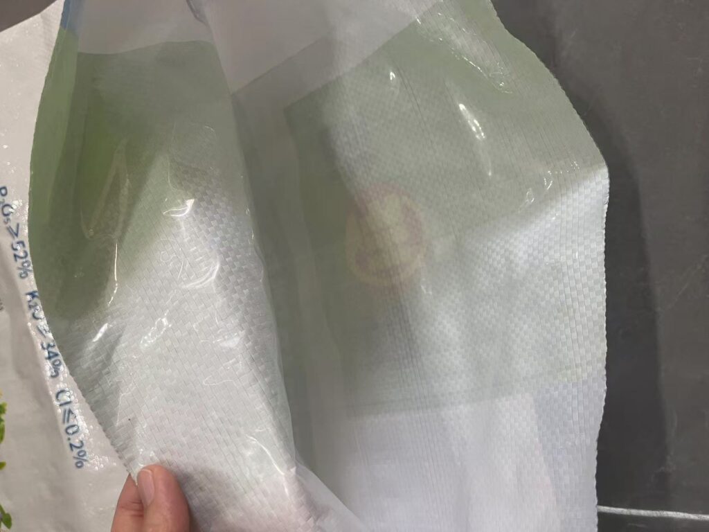 back sealed pp woven bag with pe liner